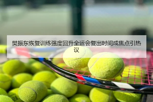 樊振东恢复训练强度回升全运会复出时间成焦点引热议